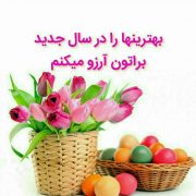 گل و بلبل
