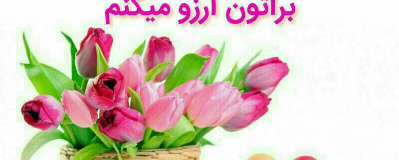 گل و بلبل